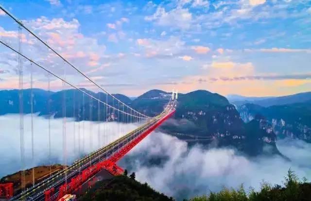 可爱小猫向上跳